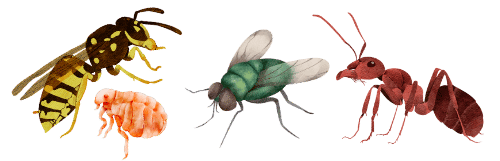 pests image