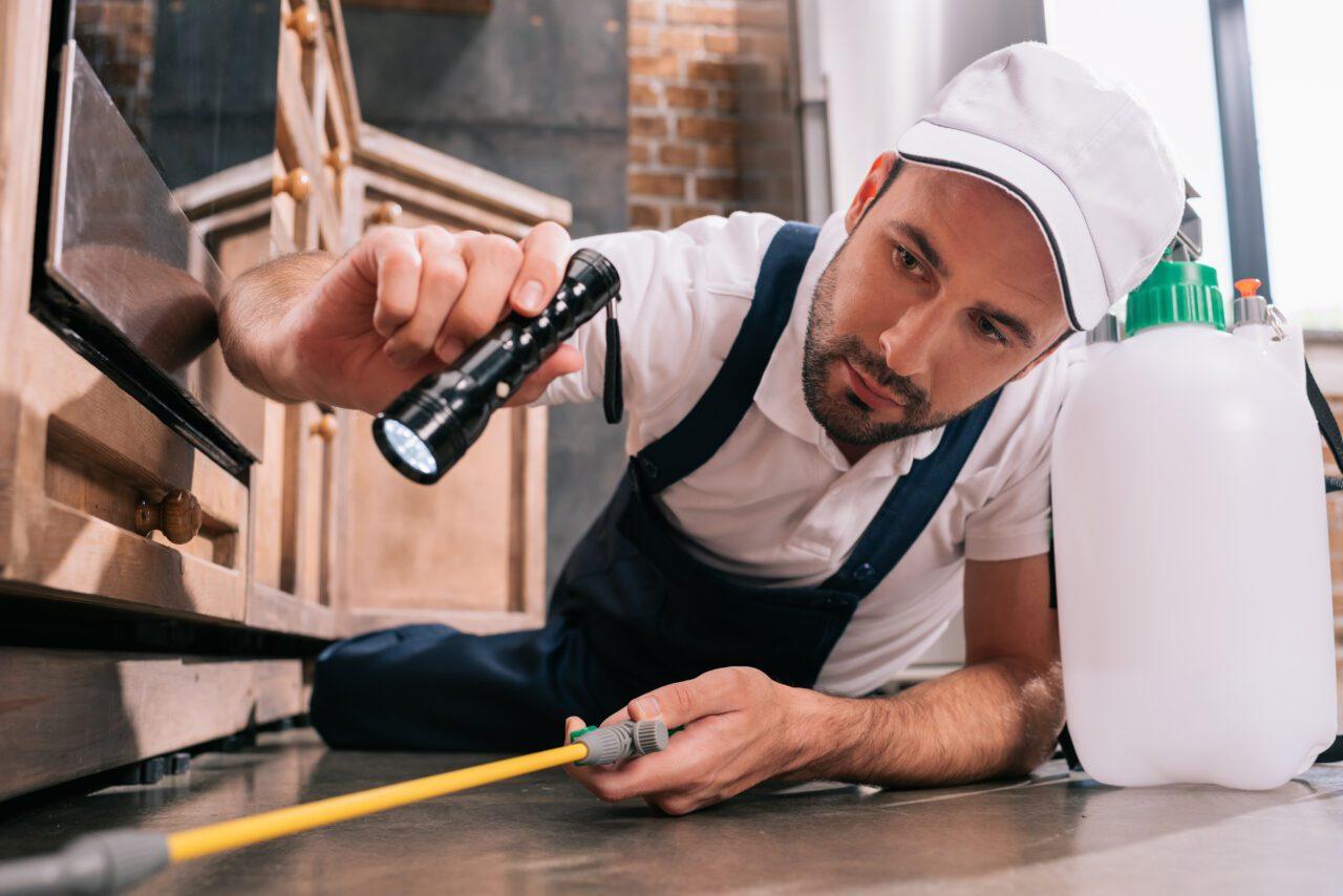 Pest Control Ottawa -Employee surveying