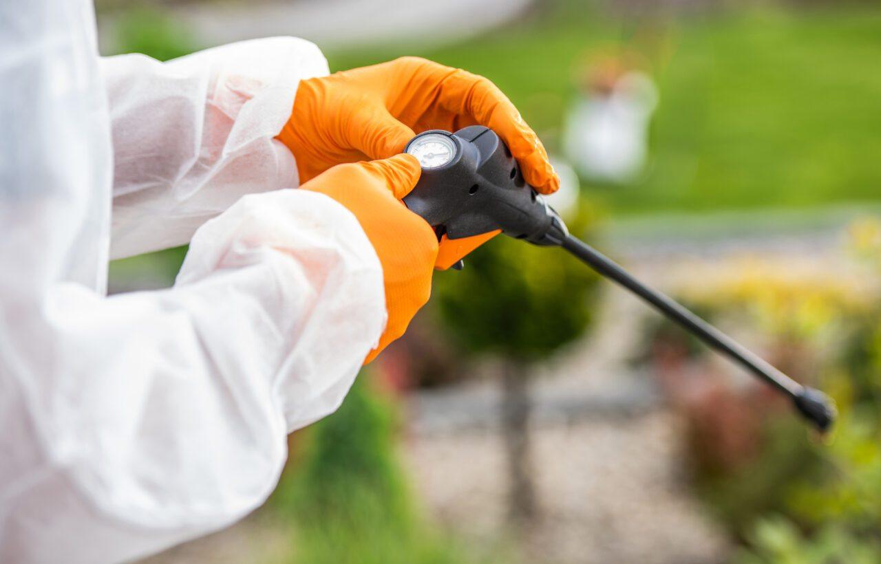 Pest control expert checking guage
